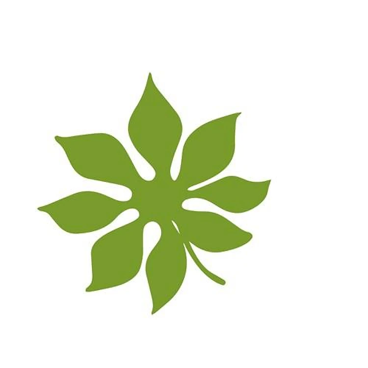 Tropical Plant