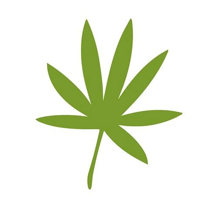 Tropical Fern Leaves