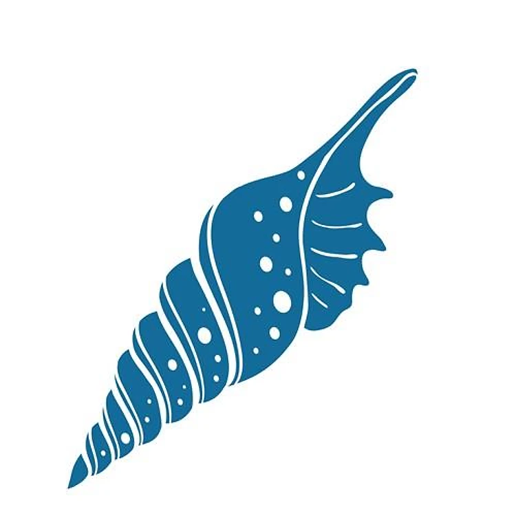 Seashell