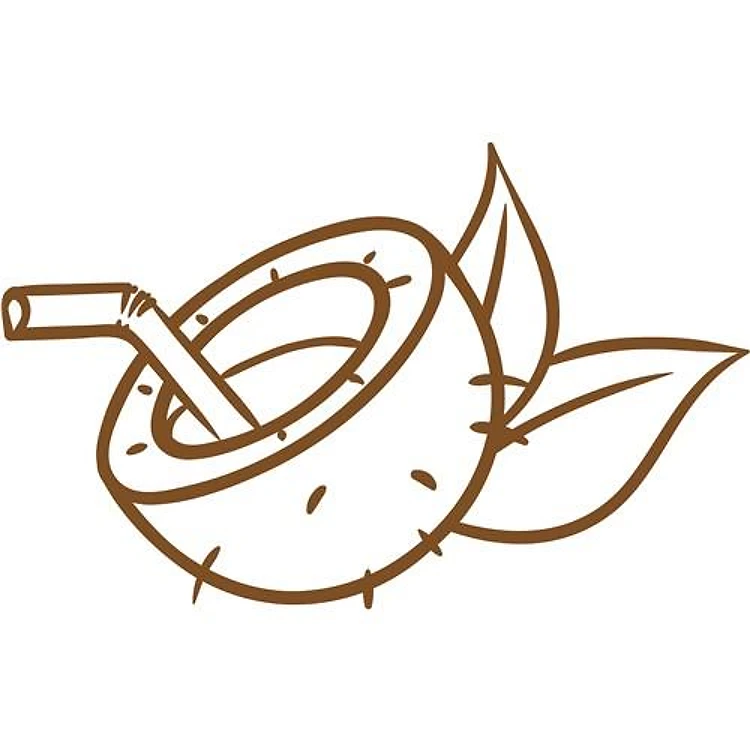Coconut Drink Outline