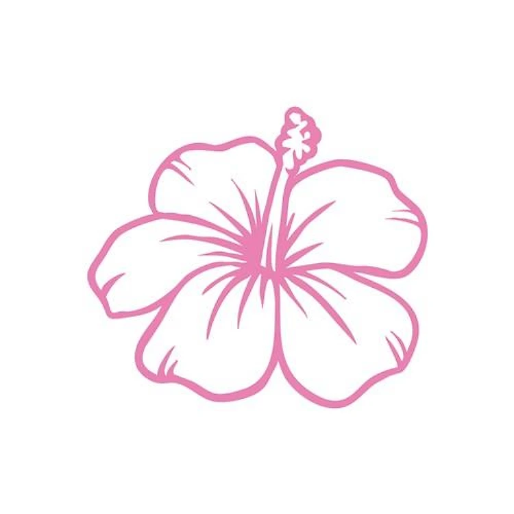 Hibiscus Outline