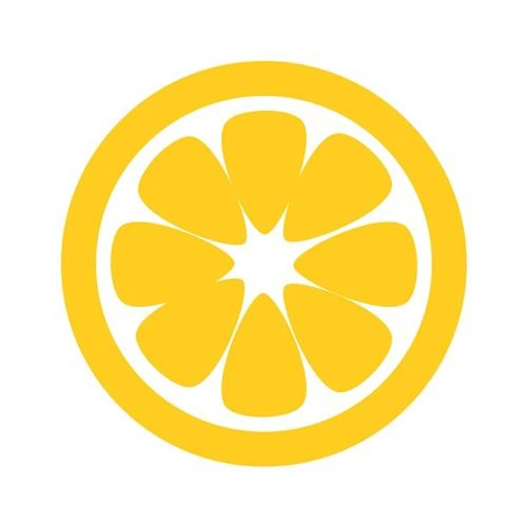 Lemon Slice