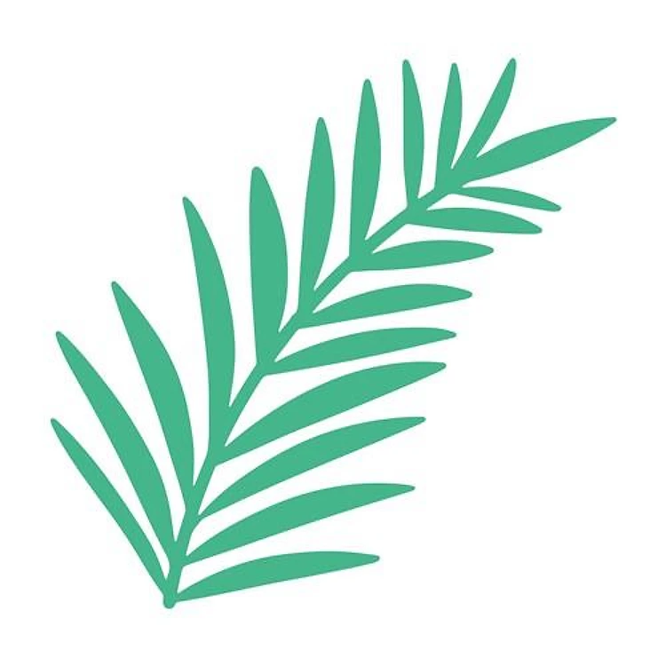 Fern Frond