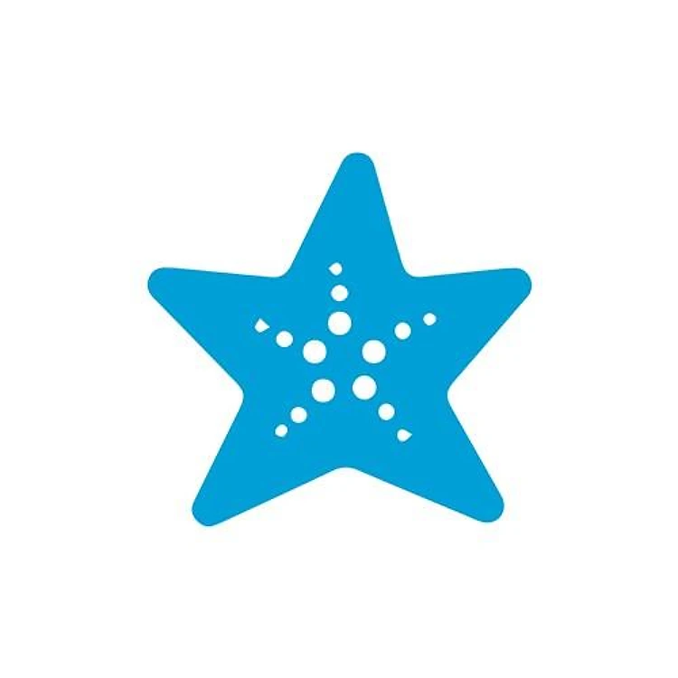 Summer Starfish