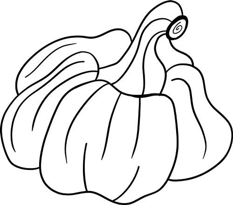 Pumpkin Outline