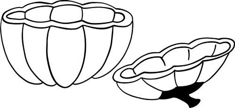 Pumpkin Shell