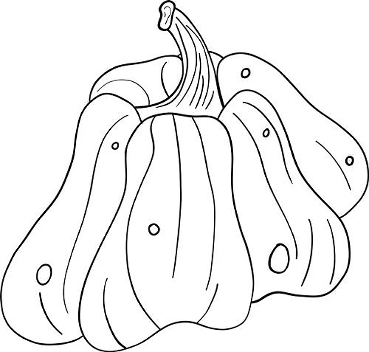 Outline Pumpkin