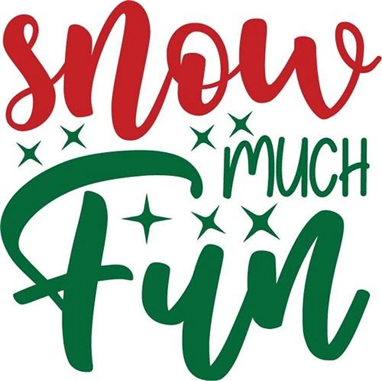 Snow Much Fun