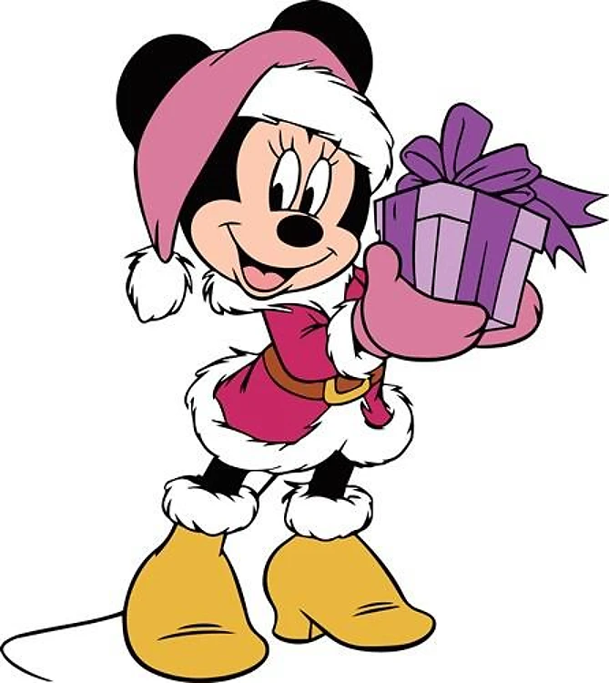 Minnie Christmas Gift