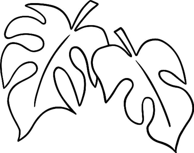 Large Leaves Outline
