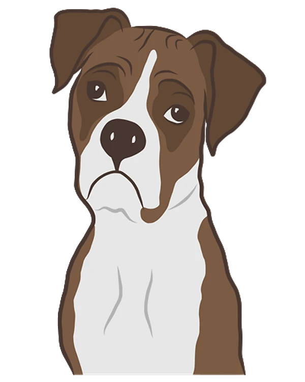 Realistic Boxer