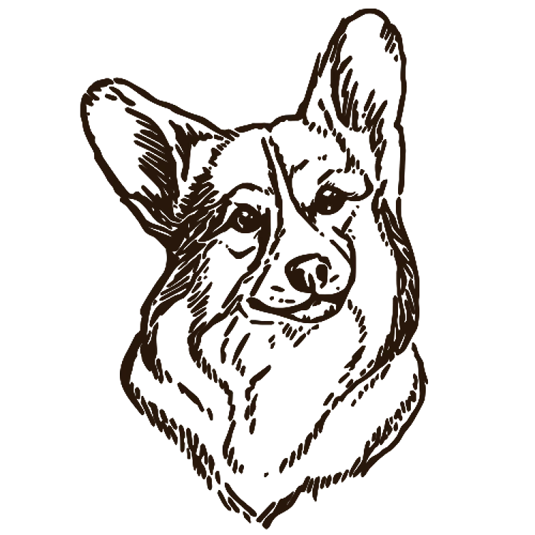 Corgi Face