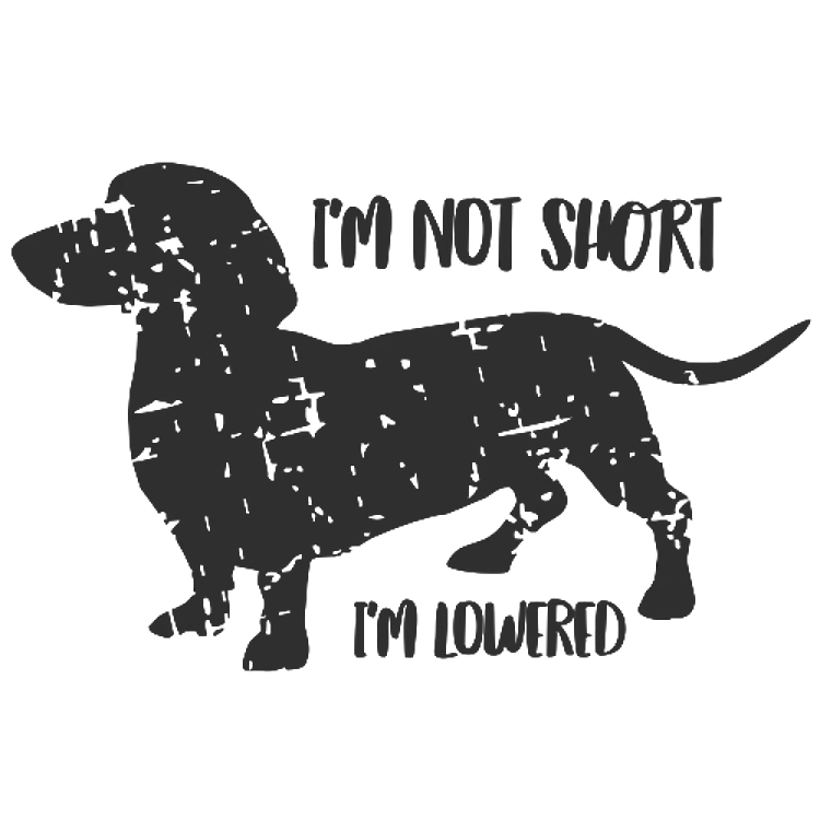 Dachshund Grunge