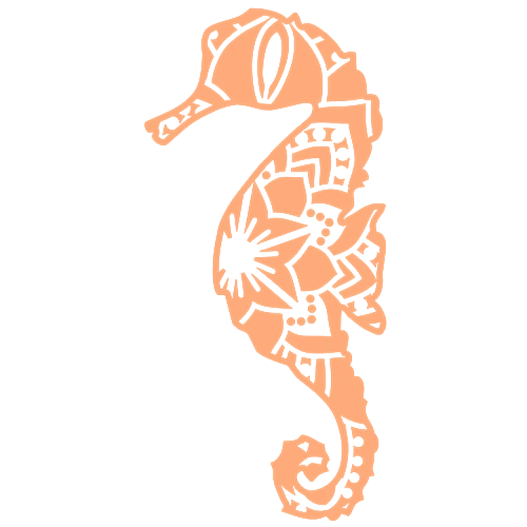 Sea Horse With Mandala