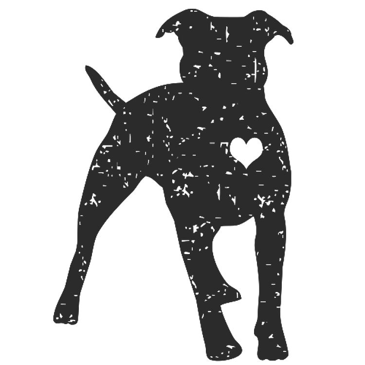 Pitbull Grunge Heart