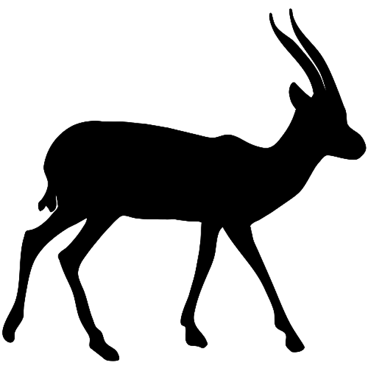 Gazelle Sllhouette