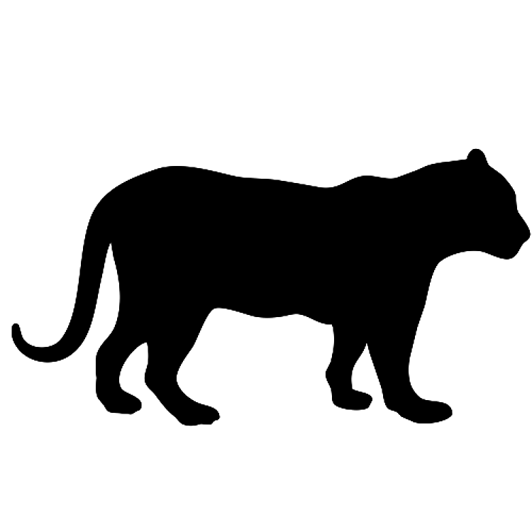 Lion Silhouette