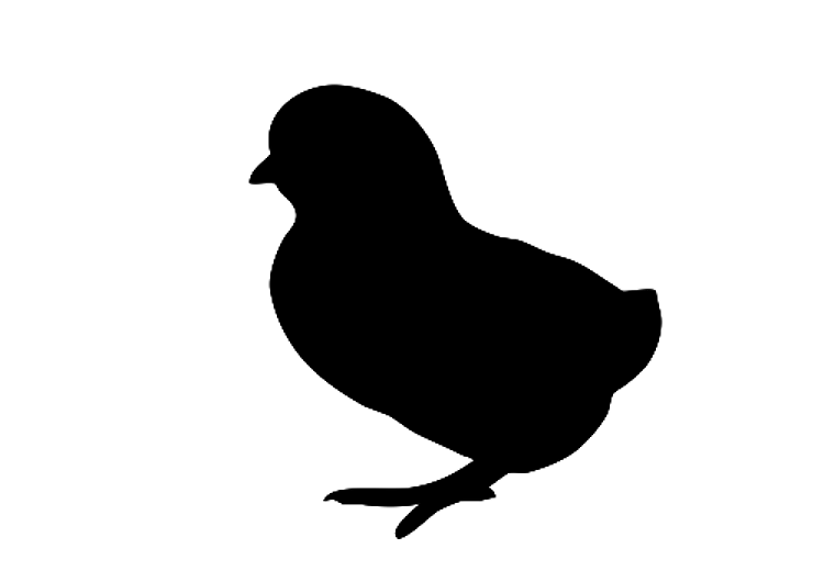Chick Silhouette