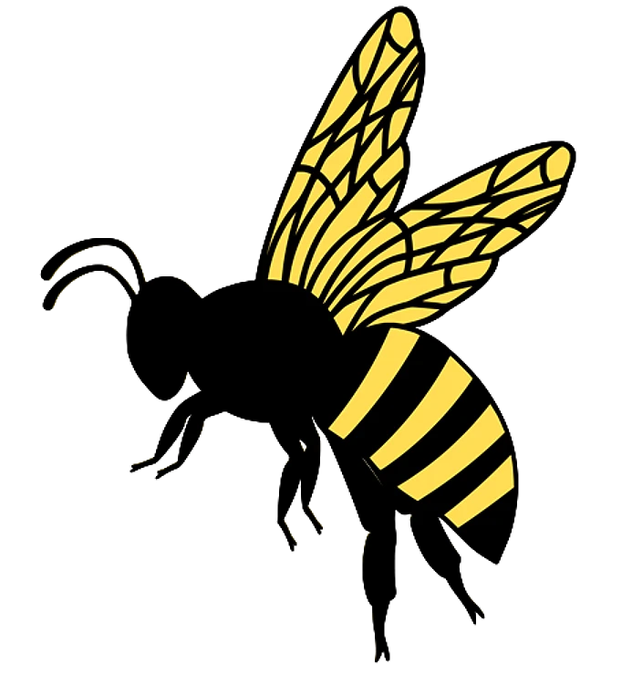 Flying Bee