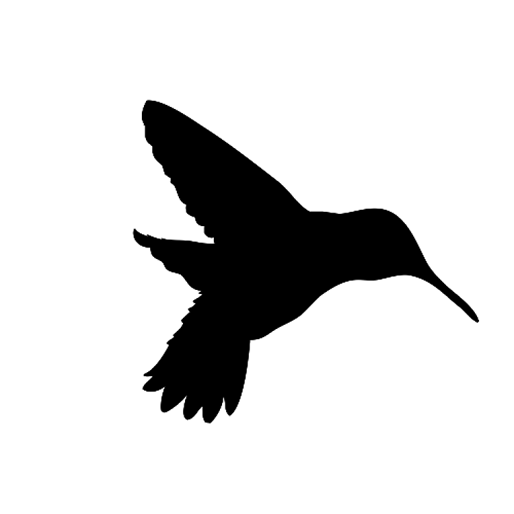 Hummingbird Silhouette