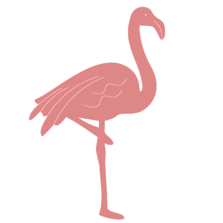 Pink Flamingo