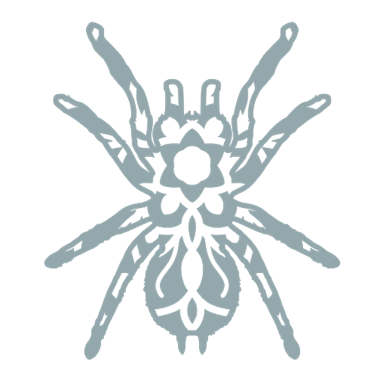 Mandala Spider
