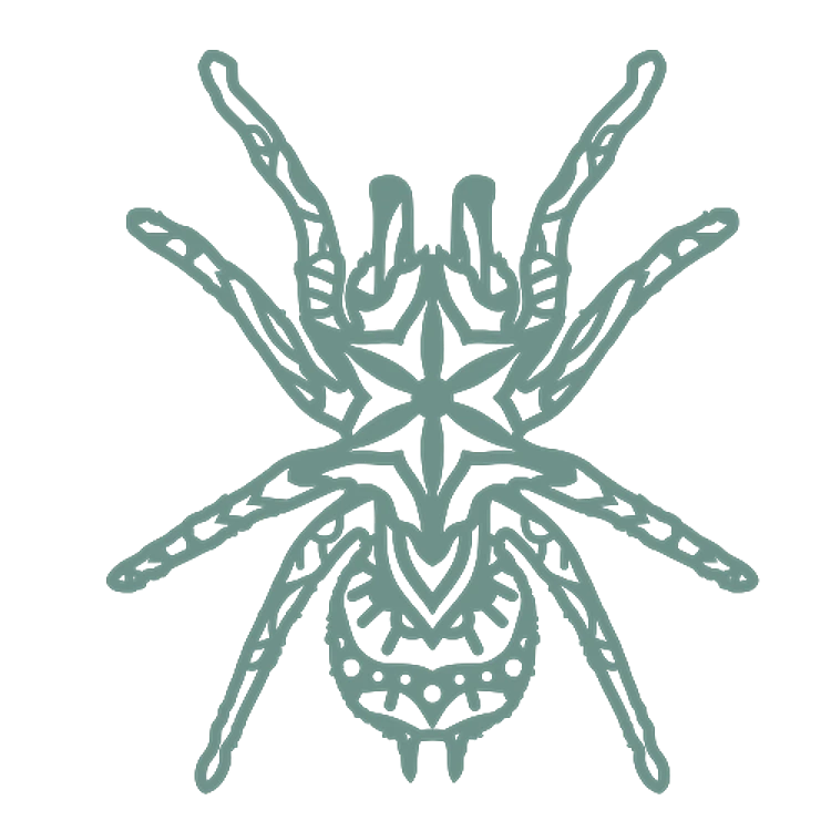 Tarantula Mandala