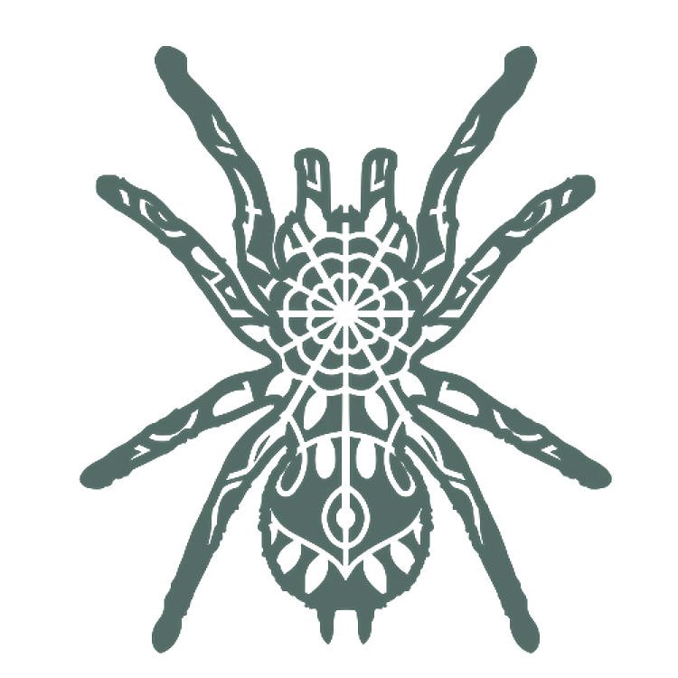 Mandala Tarantula