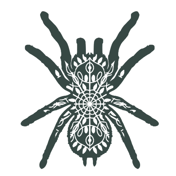 Spider Mandala