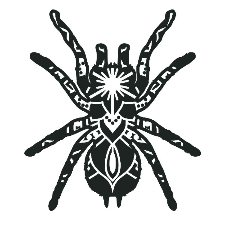 Mandala Spider