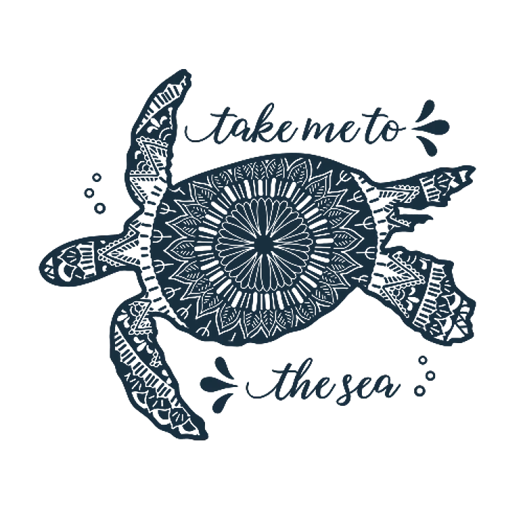 To The Sea Turtle