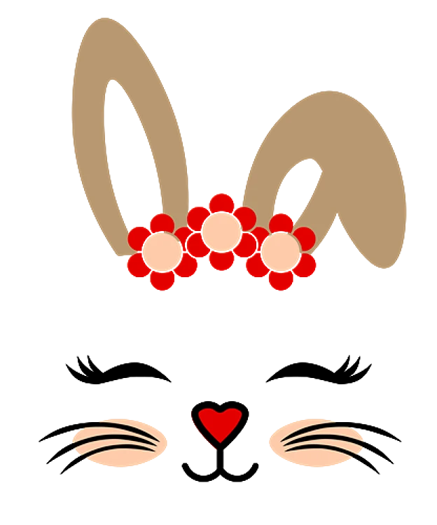 Bunny Face