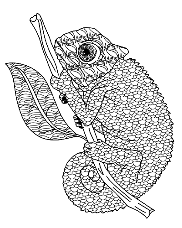 Decorative Chameleon Outline