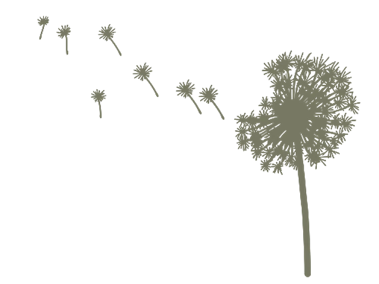 Dandelion
