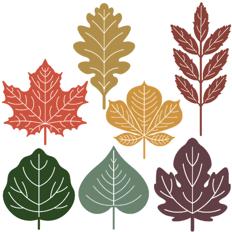 Fall Leaves