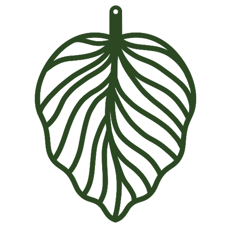 Rounded Leaf Outline
