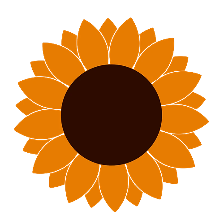 Orange Sunflower