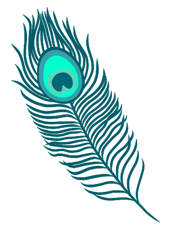 Teal Peacock Feather