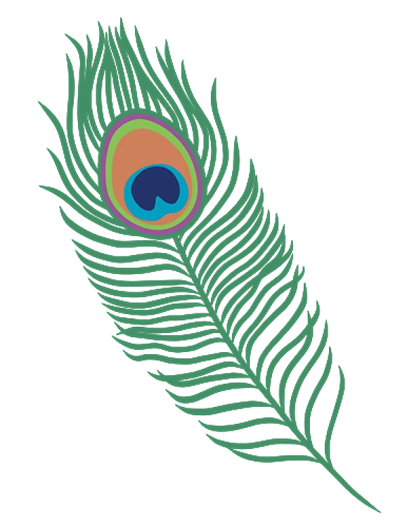 Decorative Peacock Feather