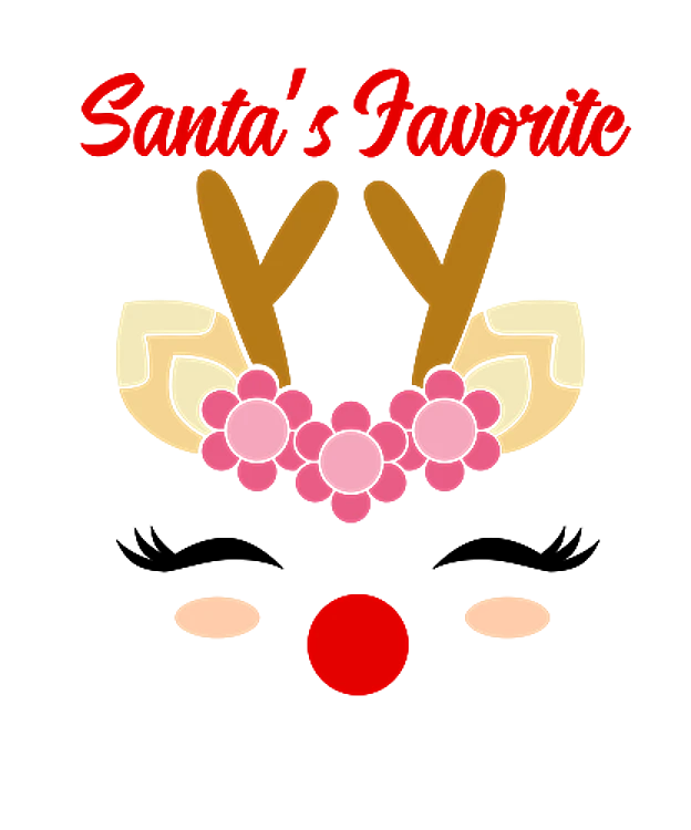 Santas Favorite