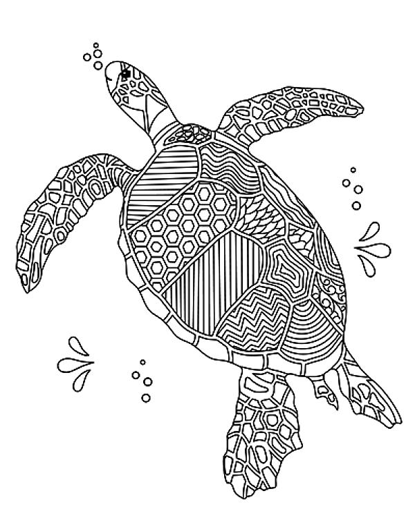 Decorative Sea Turtle Outline
