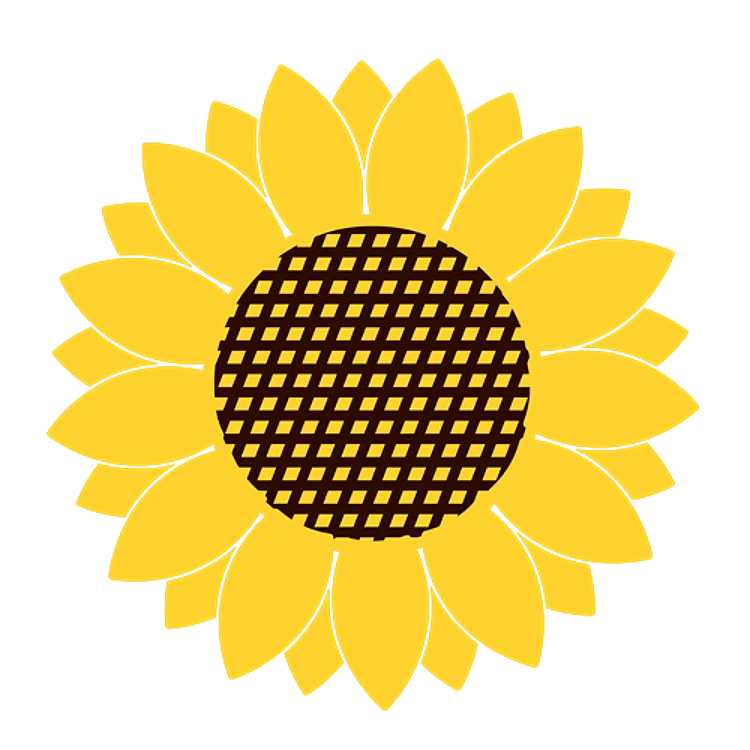 Bright Sunflower