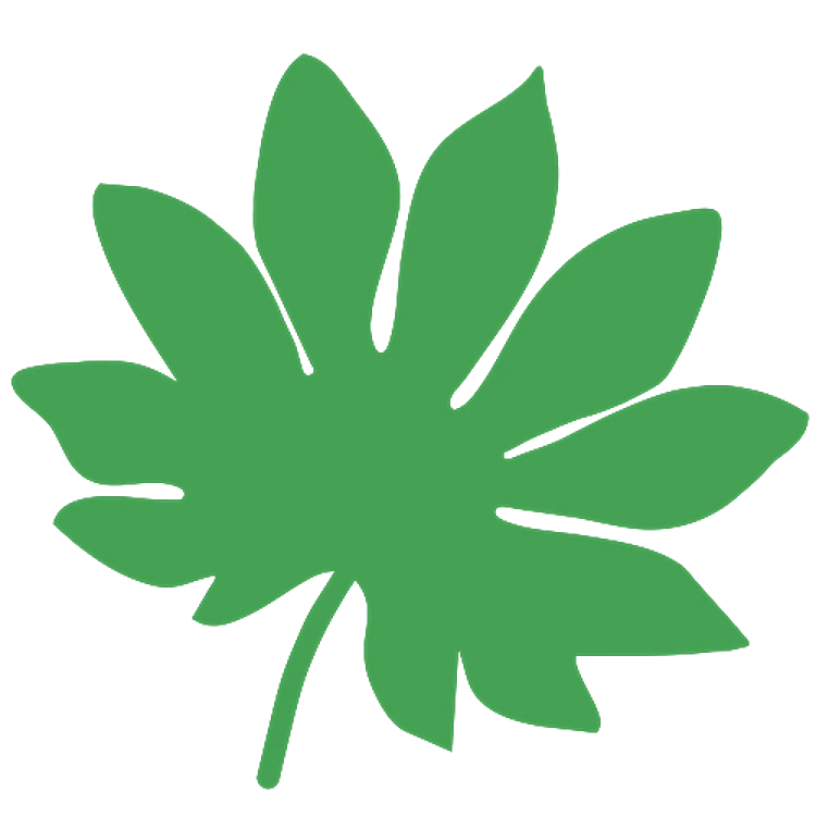 Tropical Leaf