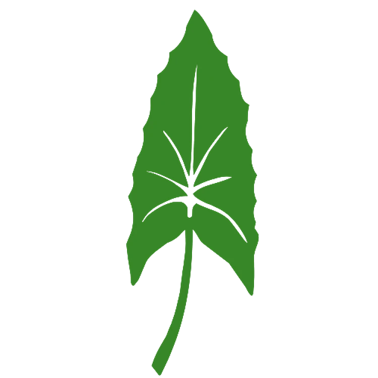 Tropical Leaf Detailed
