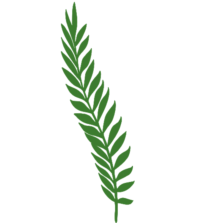 Tropical Fern Leaves