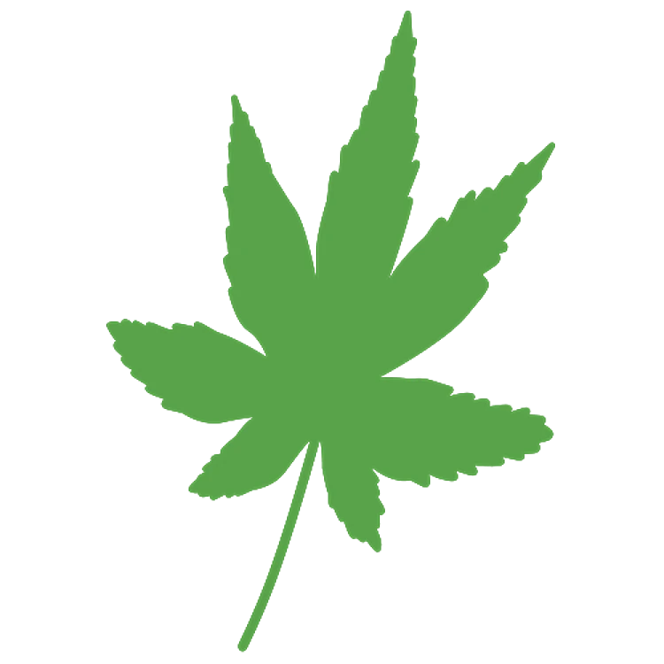 Marijuana