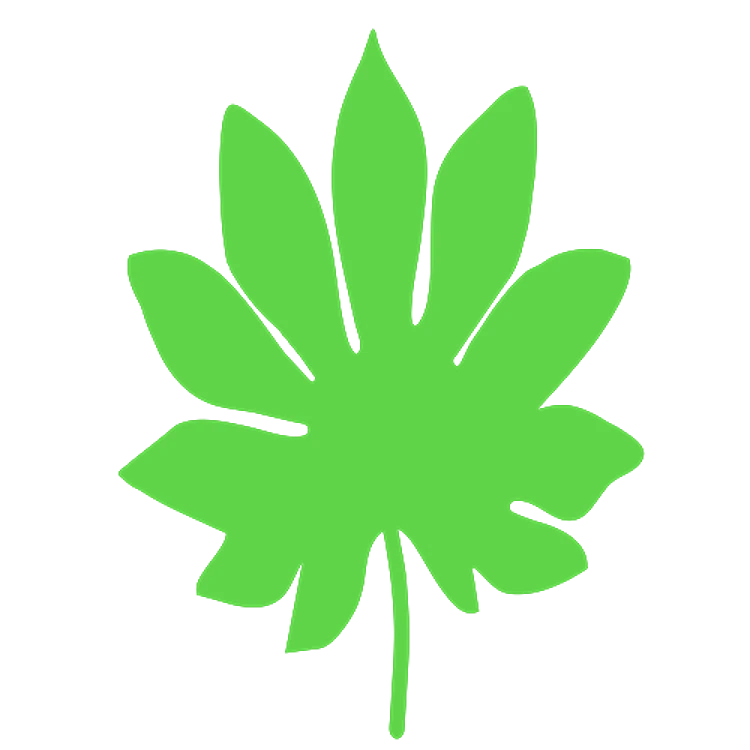 Tropical Leaf Silhouette