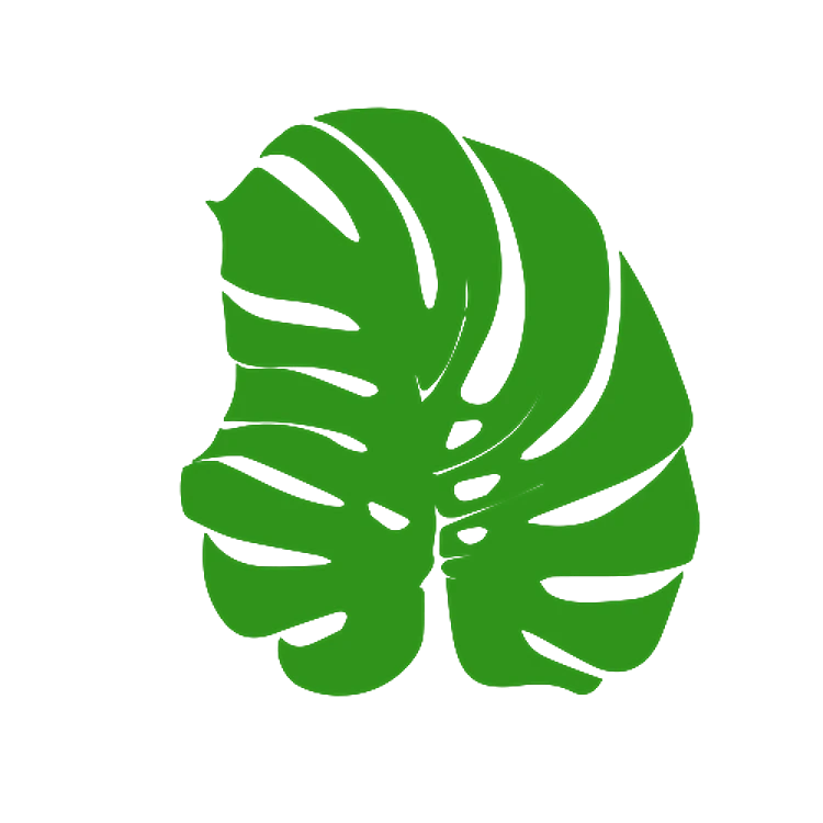 Tropical Leaf