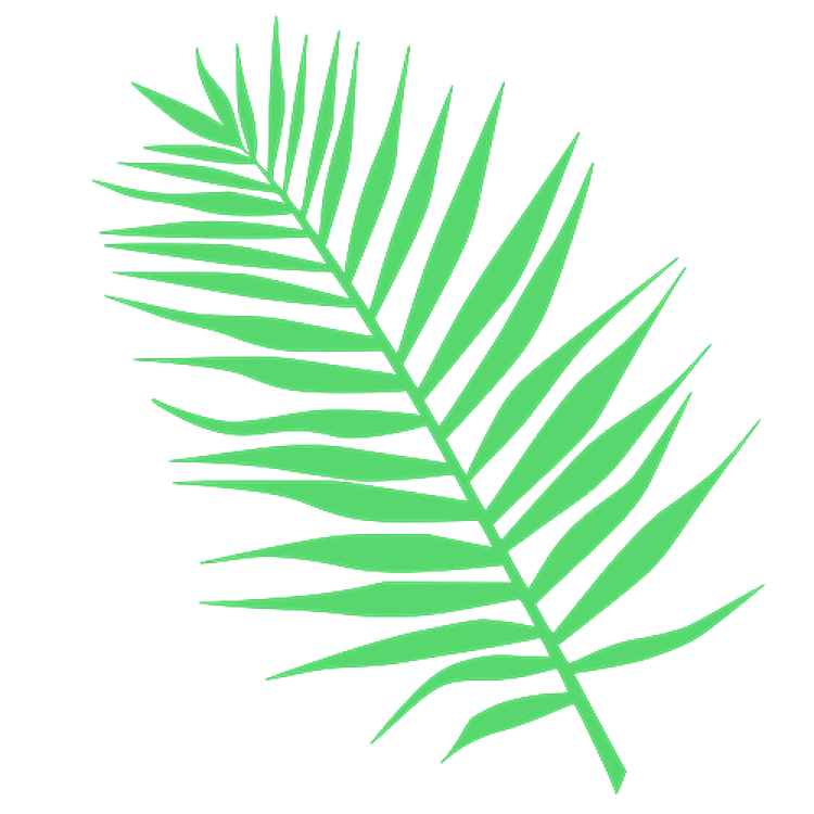Tropical Fern Leaves