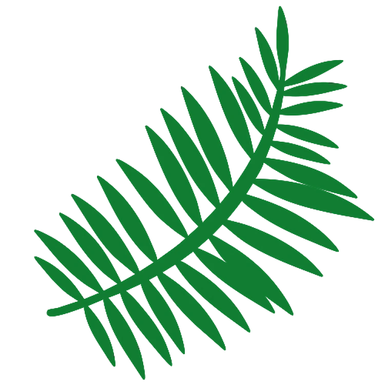 Tropical Fern Leaves
